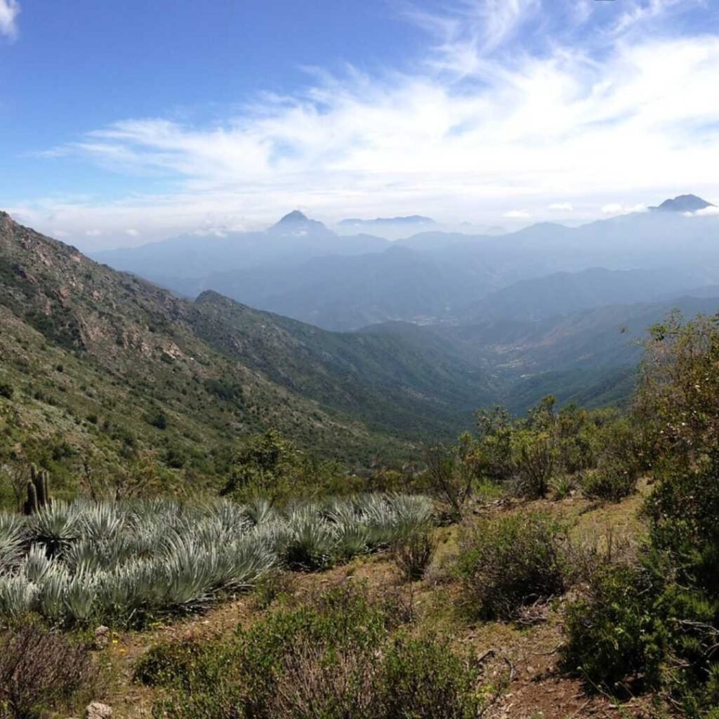 cerro la campana