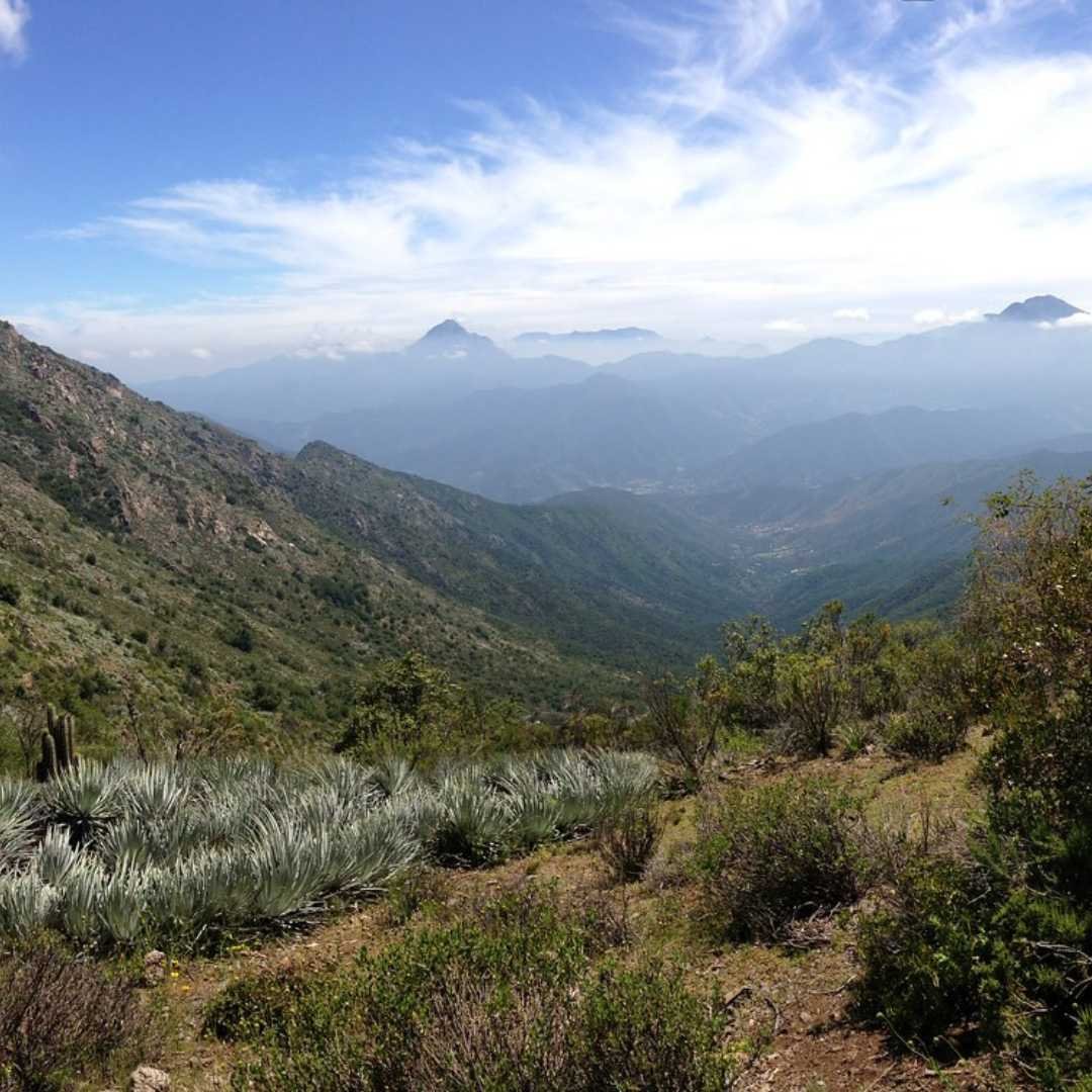 Cerro La Campana Parque Nacional La Campana