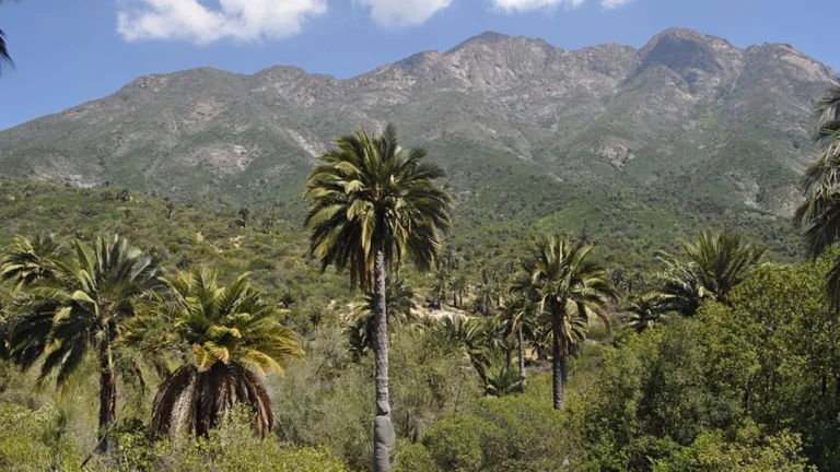 parque nacional la campana